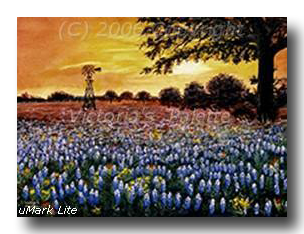 Across the plains of Texas are wild bluebonnet flowers  trees windmill and blazing sunset colors blue orange red green