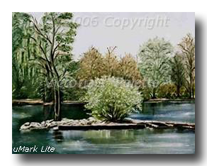 Home Decor landscape painting of moss laden trees on full foliage rocky island surrounded by water and tall trees 
