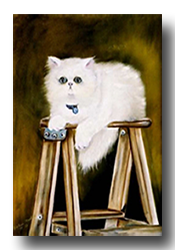 Home Decor Pet Portrait of white Himalayan Persian Cat lying on the top of a ladder. 